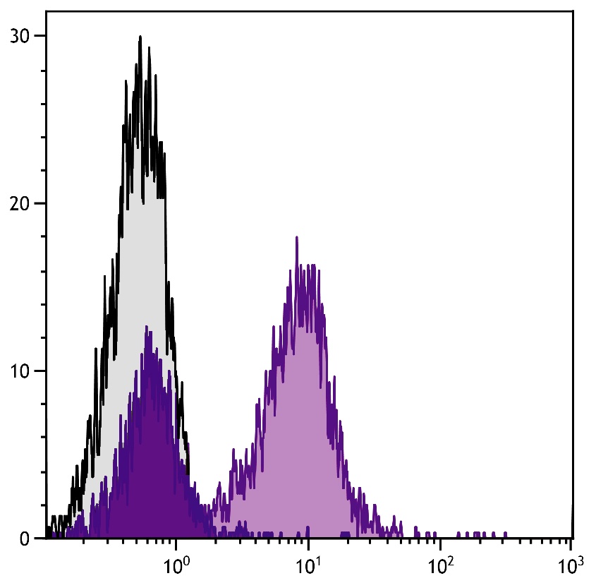 CD79b Antibody [HM79-12] (PE)