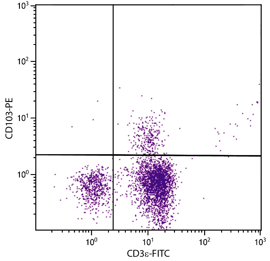 CD103 Antibody [2E7] (PE)