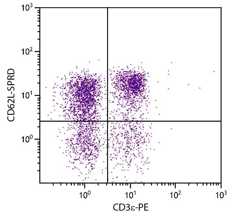 CD62L Antibody [MEL-14] (PE-Cy5)
