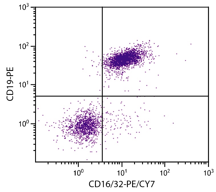 CD16/32 Antibody [93] (PE-Cy7)