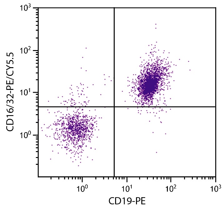 CD16/32 Antibody [93] (PE-Cy5.5)