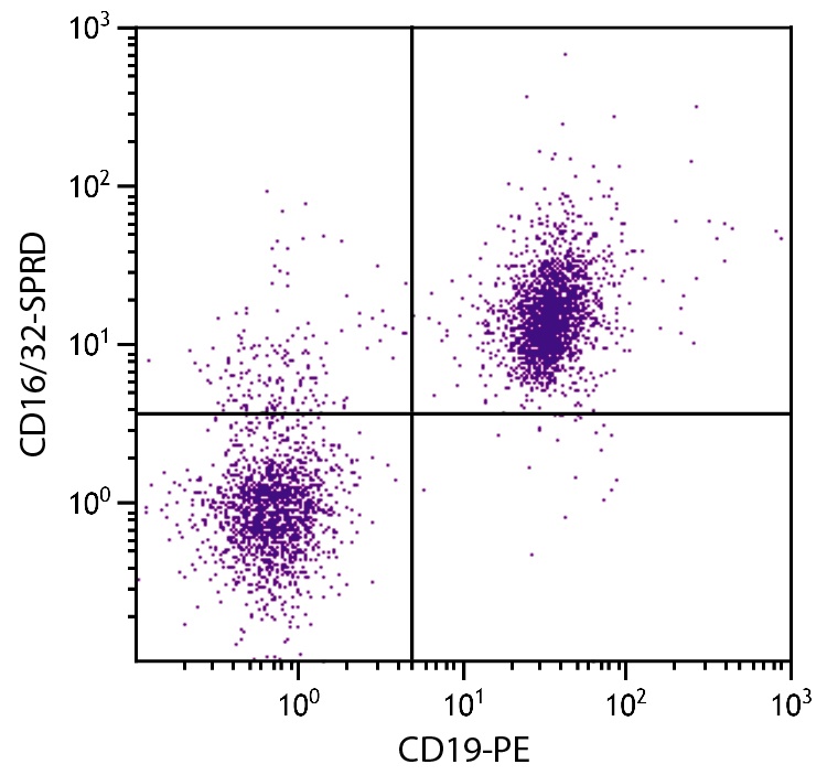 CD16/32 Antibody [93] (PE-Cy5)