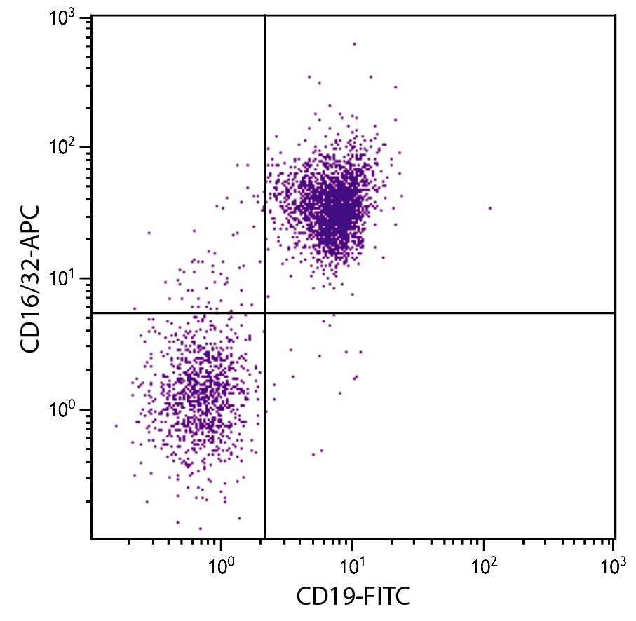 CD16/32 Antibody [93] (APC)