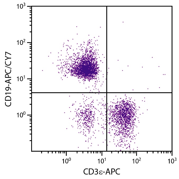 Cd19 Antibody (APC/Cy7)