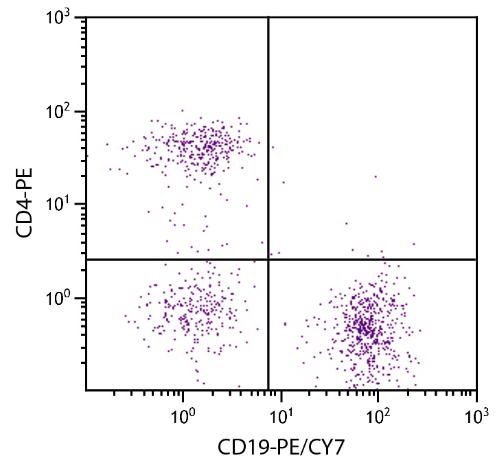CD19 Antibody [6D5] (PE-Cy7)
