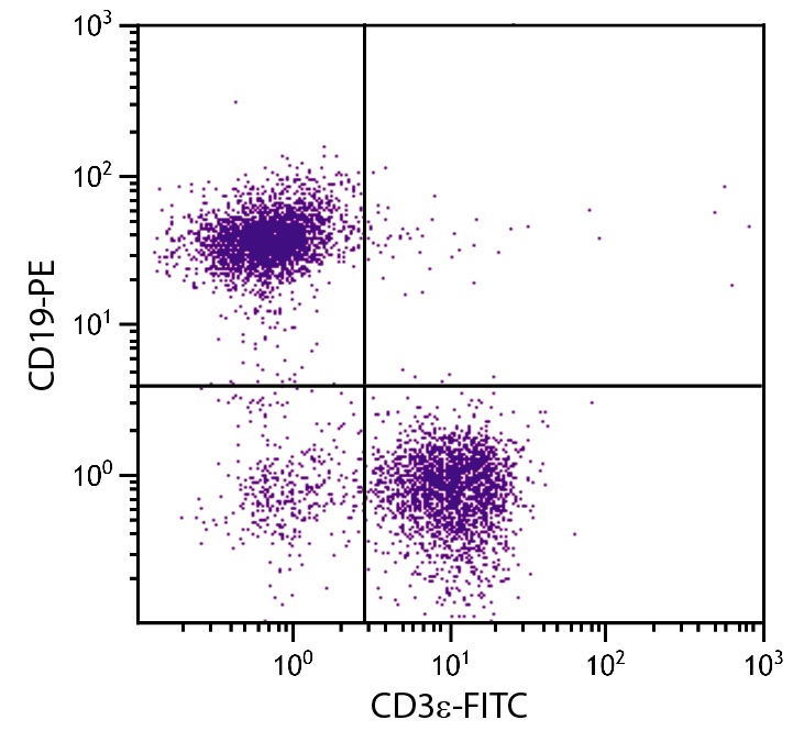 CD19 Antibody [6D5] (PE)