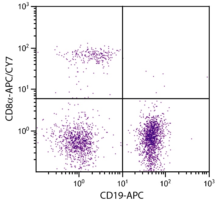 Cd8a Antibody (APC/Cy7)