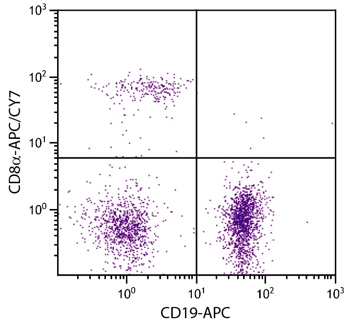 CD8a Antibody [53-6.7] (APC-Cy7)