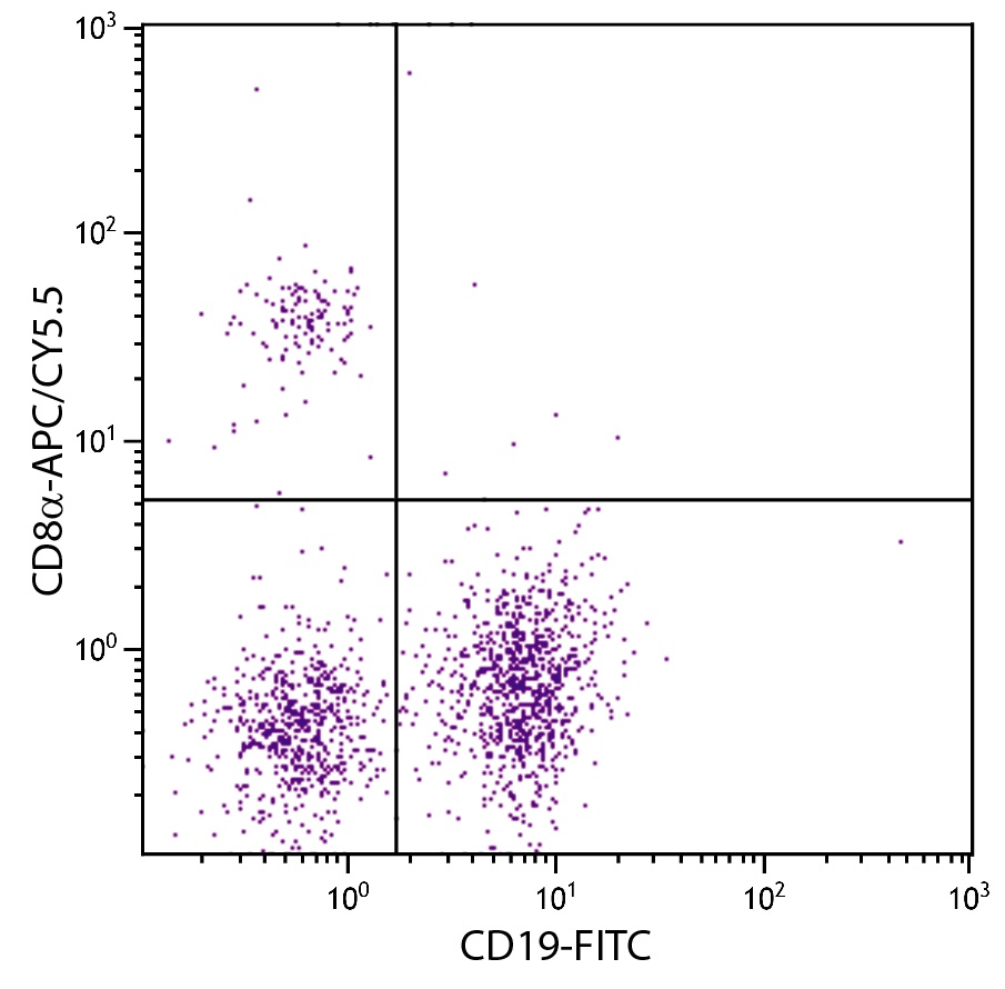 Cd8a Antibody (APC/Cy5.5)