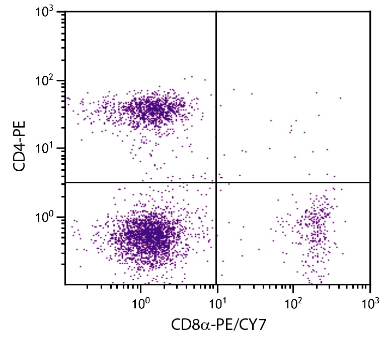 Cd8a Antibody (PE/Cy7)