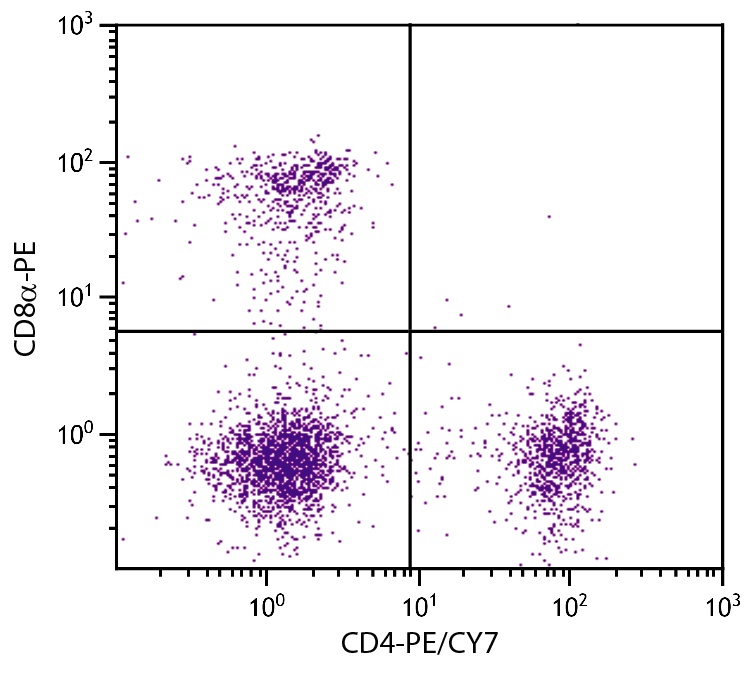 Cd4 Antibody (PE/Cy7)