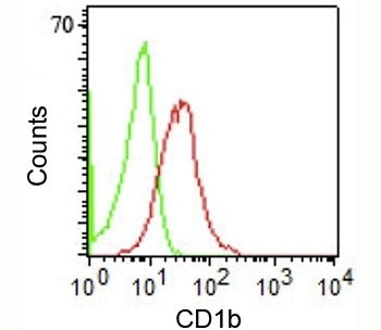CD1b Antibody [RIV12]