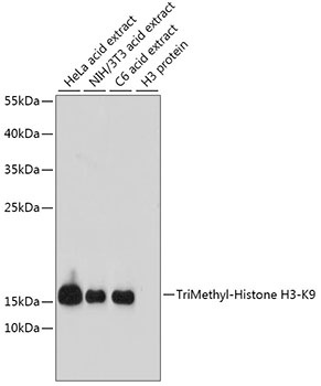 H3K9me3 Antibody