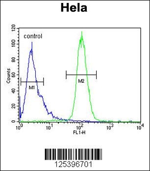 INTS10 Antibody