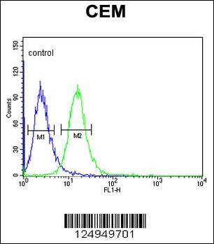 ZNF160 Antibody