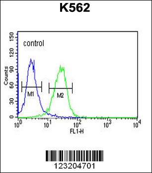 CLDN15 Antibody