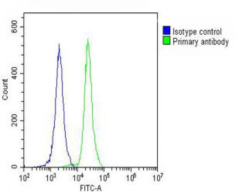 PLA2G7 Antibody