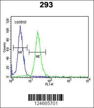 LMBR1L Antibody