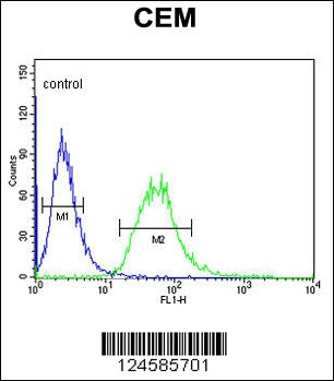 CA6 Antibody