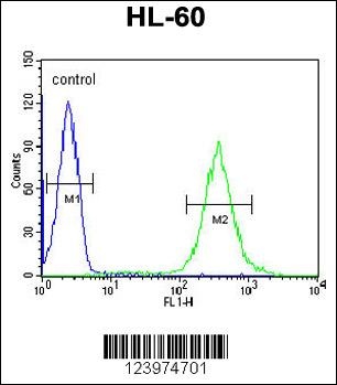 GDA Antibody