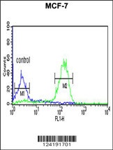 LUC7L2 Antibody