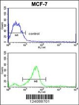 CHMP4B Antibody