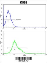 CROT Antibody