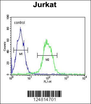 TMEM150A Antibody