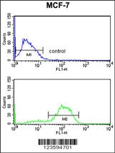 DAGLB Antibody