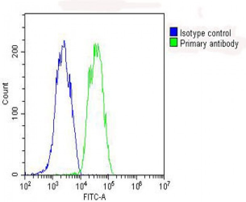 GPX1 Antibody