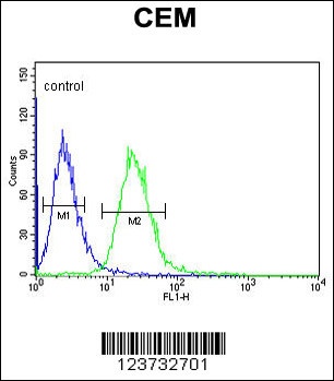 EDIL3 Antibody