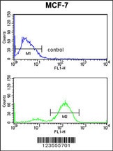 JUP Antibody