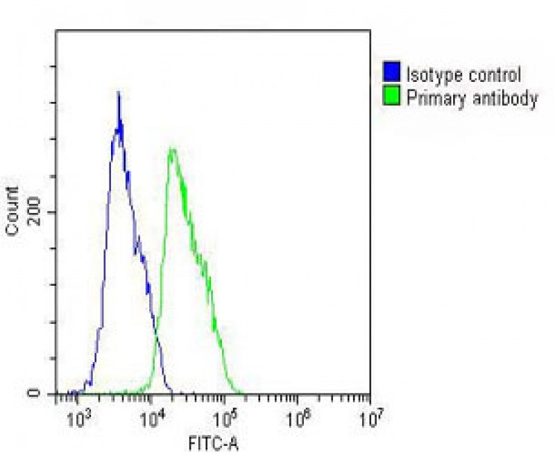 ELAVL1 Antibody