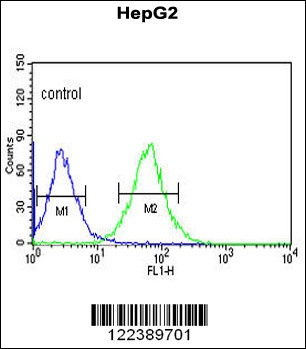 ACER3 Antibody