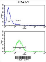 PTGER2 Antibody