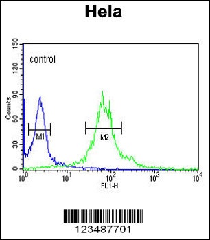 IPO11 Antibody
