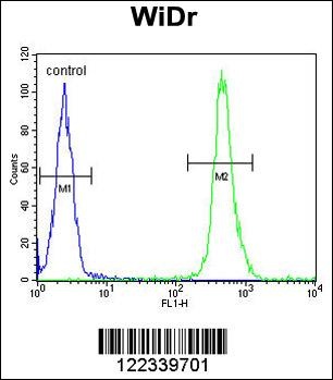 VPS26A Antibody