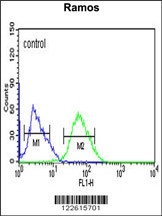 TBATA Antibody
