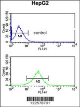 AGPAT3 Antibody
