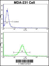 RANBP9 Antibody