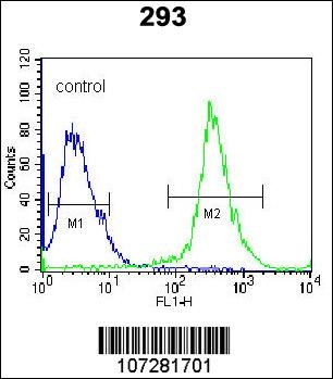 Dusp6 Antibody