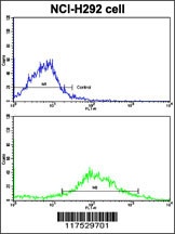 CYP20A1 Antibody