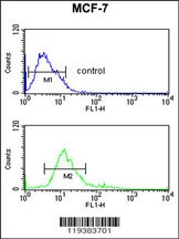 IMPDH2 Antibody