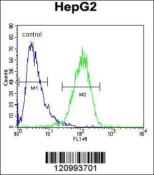 HEXA Antibody