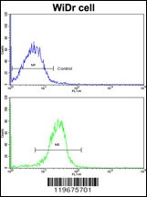 AADAC Antibody