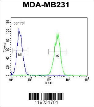 CRHR2 Antibody