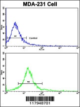 DXO Antibody