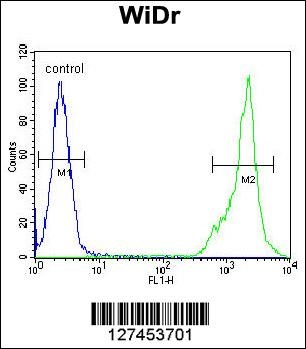 C4BPA Antibody