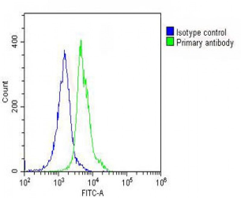 VLDLR Antibody