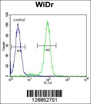 FBXO9 Antibody